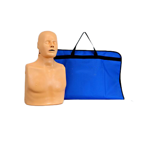 CPR MANIKIN, HALF-BODY, ADULT